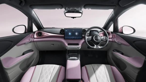 byd dolphin-interior